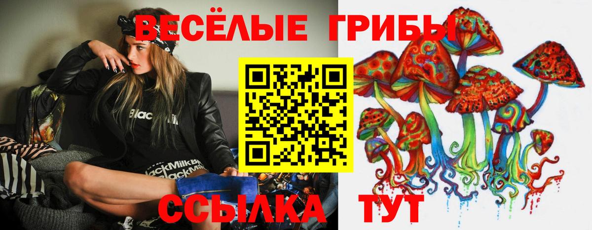 Псилоцибиновые грибы прущие грибы  Вход с VPN  Камышлов 